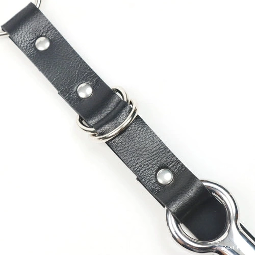 Anal Hooks EverydayUse Kinky Collar Leash Anal 5853 with Hook and 0729